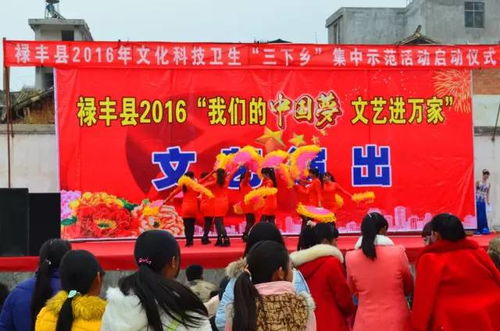 祿豐縣恐龍文化藝術廣場,文化 科技 衛(wèi)生 三下鄉(xiāng) 活動邀您參與